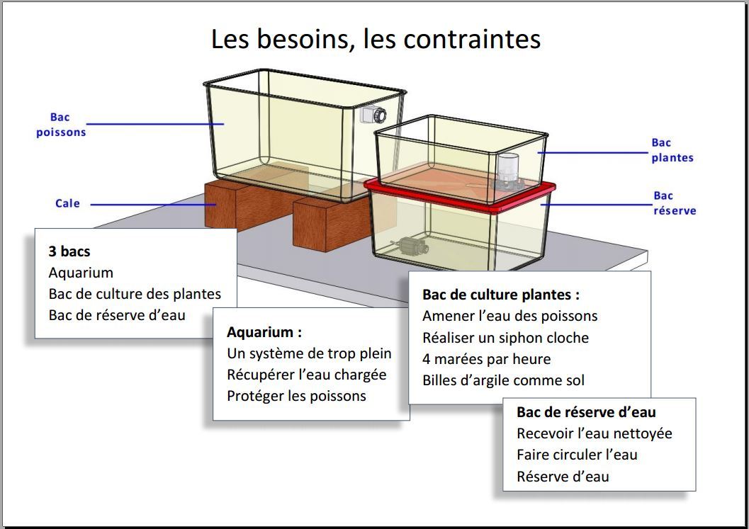Les contraintes